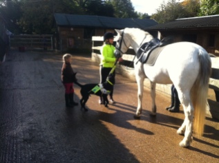 Helping at the stables