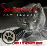 Savannah's Paw Tracks teaser for Oct 1