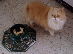 Mulberry, Persian Cat, with Christmas tree stand